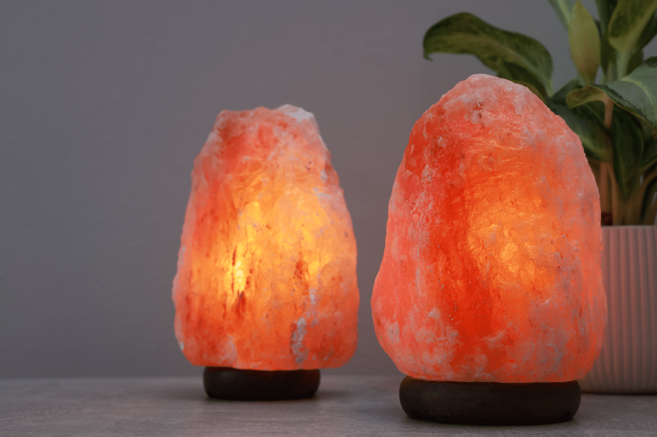 himalayan salt home decor suppliers